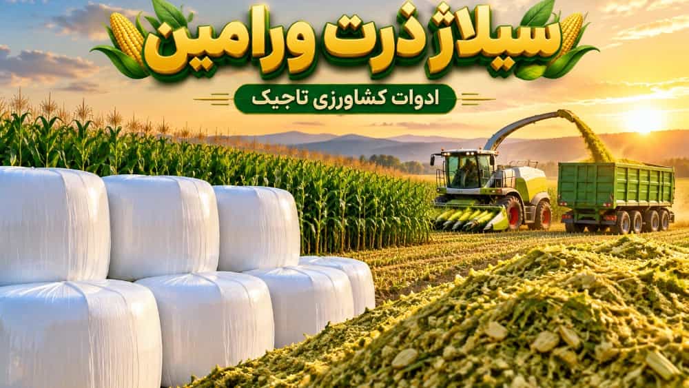 قیمت عمده ذرت علوفه ای و سیلاژ بسته بندی در ورامین